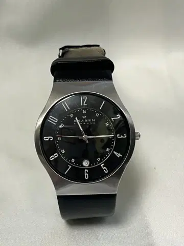 스카겐 SKAGEN 블랙 233XXLSLB