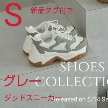 이번 시즌 다나카 리나 씨의 댑 스니커즈 mysa closet S 사이즈