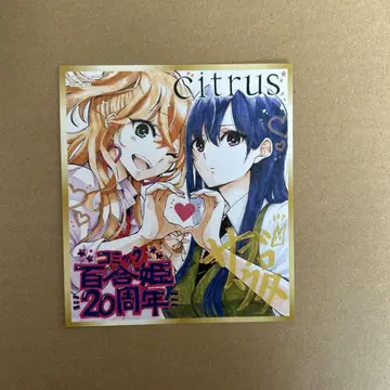 유리히메 미니 색지풍 카드 citrus
