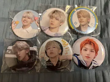 ini 타카츠카 다이무 캔뱃지 모음
