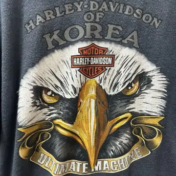 할리데이비슨 이글 매 티셔츠 구제 의류 빈티지 양면