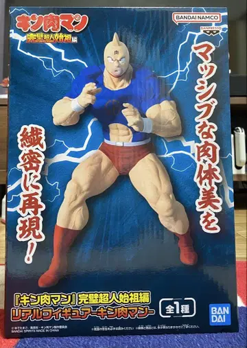 근육맨 리얼 피규어 약 21cm