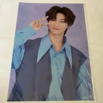SEVENTEEN 디에이트 클리어 포스터 dome SVT poster