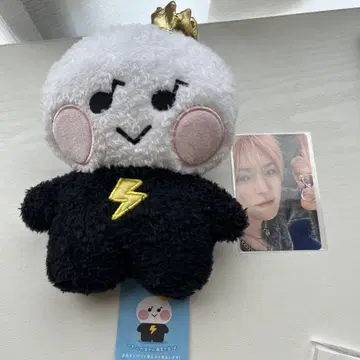 TREASURE TRUZ 타톤 요치 yochi 대 트레이딩 카드 덤 포함