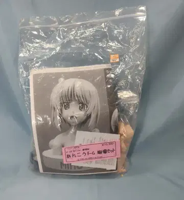 GK 카타카무 레진 키트 팥 팀 흉상 세트