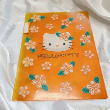 레어 헤이세이 레트로 하이비스커스 헬로키티 오렌지 파일 트로피컬