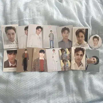 세븐틴 세부치 버논 트레이딩 카드 캔 배치 세트