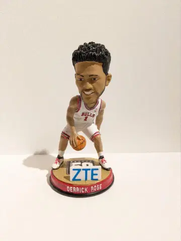 DERRICK ROSE 시카고 불스
