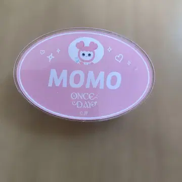 twice 명찰 허벅지
