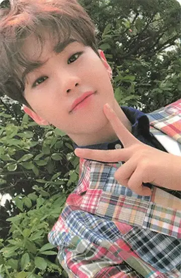 SEVENTEEN An Ode HOSHI 트레이딩 카드 브라운
