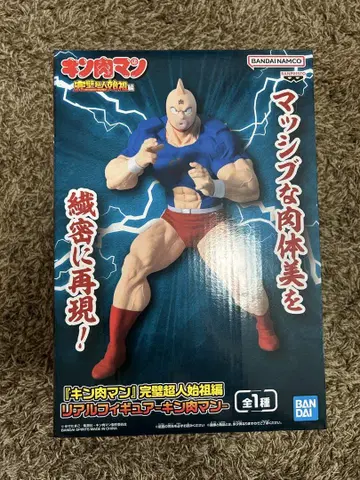 근육맨 완벽 초인 시조편 리얼 피규어 근육맨