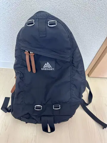 그레고리 블랙 백