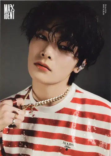 StrayKids MAXIDENT I.N 미니 포스터