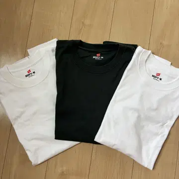 HANES BEEFY 티셔츠 헤인즈 비피 3장 화이트 그린