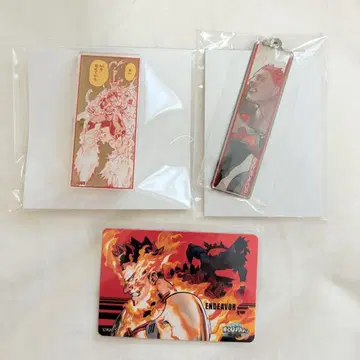 히로아카 전 엔데버