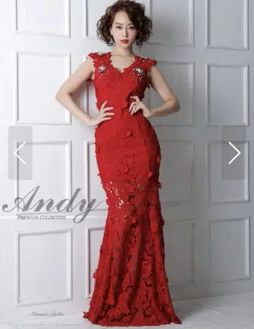 Andy 앤디 레드 꽃무늬 전체 레이스 타이트 롱 드레스 머메이드 비쥬