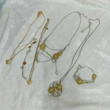 니나리치 액세서리 정리