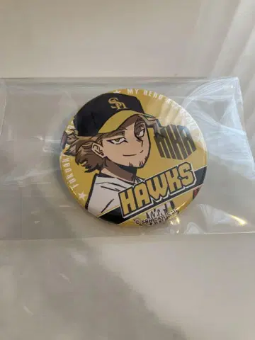 24HAWKS 히로아카 콜라보 호크스 캔뱃지