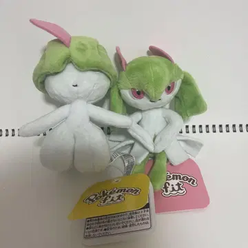 포켓몬 핏 라르토스 킬리아 봉제 인형