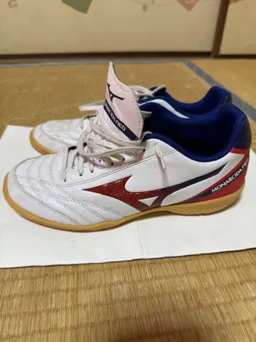 Mizuno Monarcida Neo 풋살화