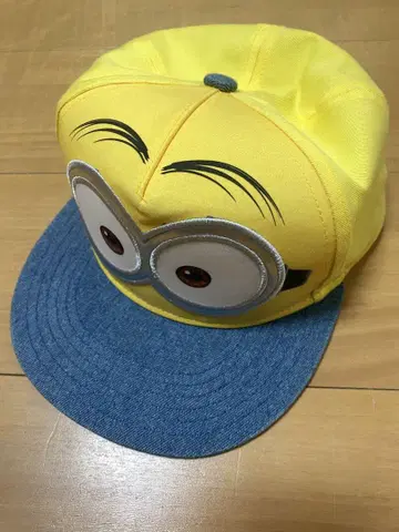 미니 캡