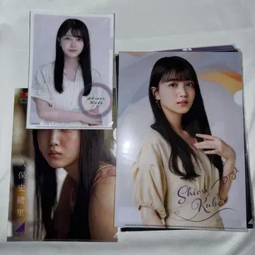 노기자카46 쿠보 시오리 클리어 파일 8종 세트