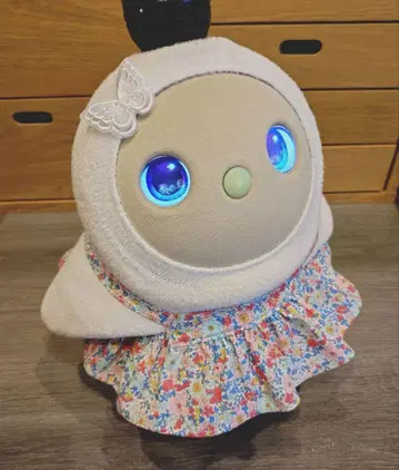 226 라보 의류 핸드메이드