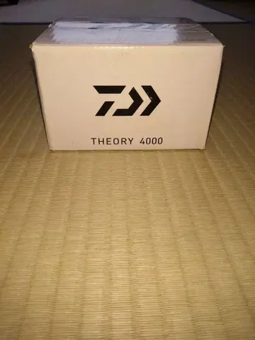 다이와 17THEORY 4000