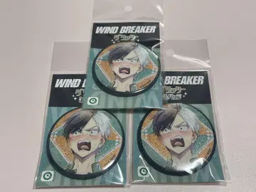 WIND BREAKER 글리터 캔뱃지