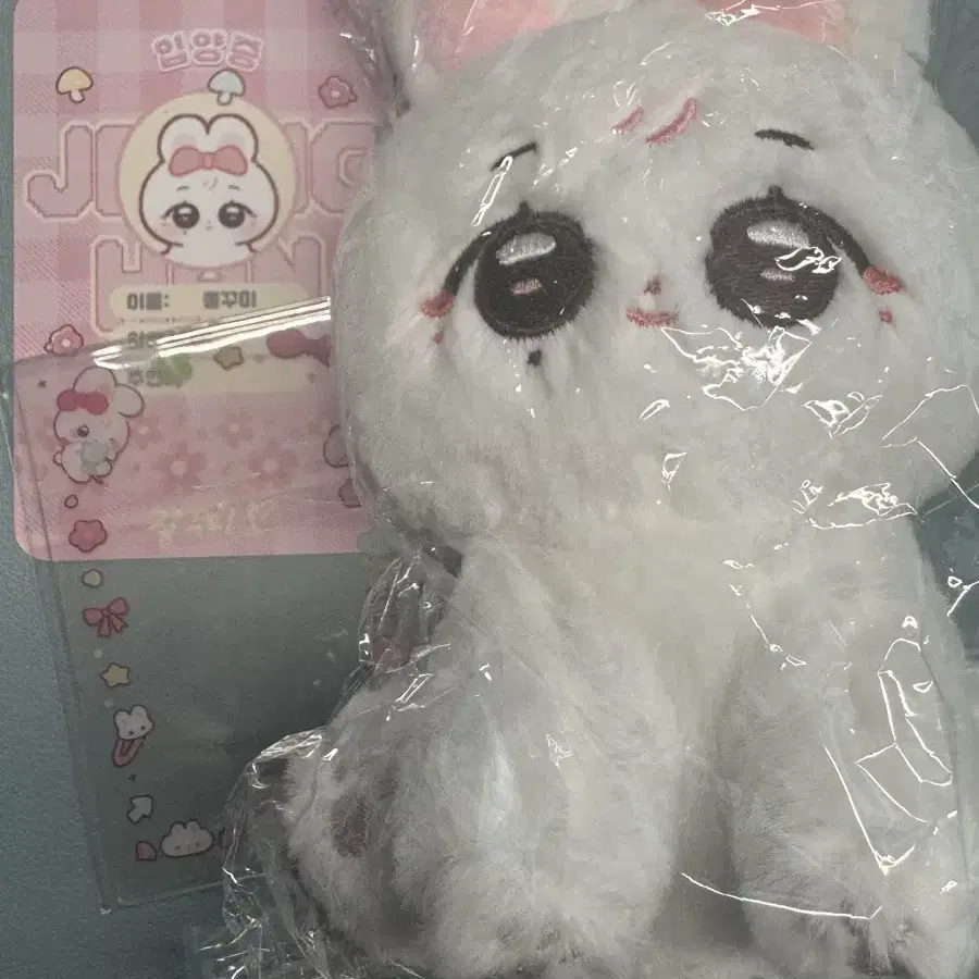 SEVENTEEN | 세븐틴 Seventeen Jeonghan doll Jjongkkumi sealed