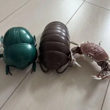 단구미, 배설물 바퀴, 게