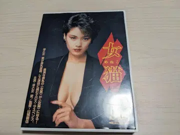 여자 고양이 사오토메 아이 중고