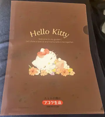 키티 클리어 파일