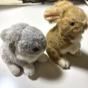 토끼 봉제 인형 2종 세트