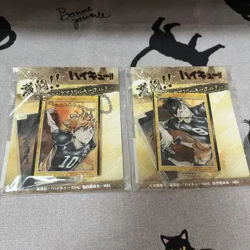 하이큐 격투 아크릴 키링 카게야마 토비오 히나타 쇼요