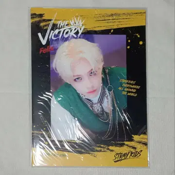[새상품] Stray Kids THE VICTORY 포토북 Felix