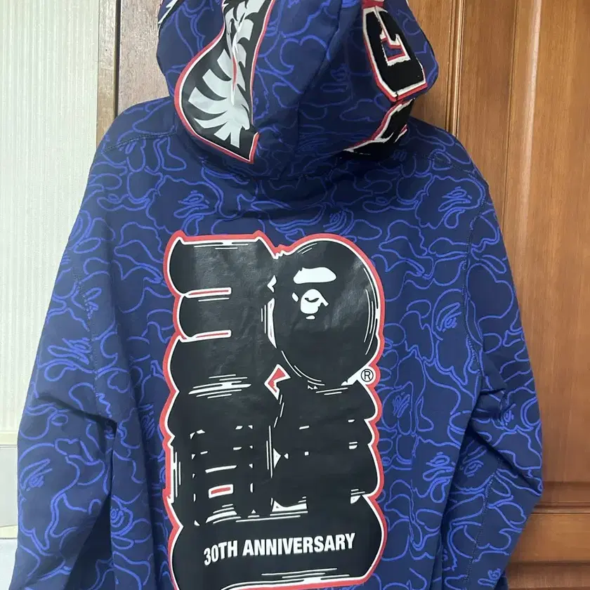 BAPE | 베이프 Bape 30th Anniversary Hoodie on Bunjang Global