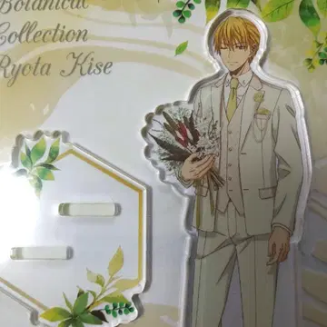 쿠로코의 농구 노란색 아크릴 스탠드 Botanical Collection