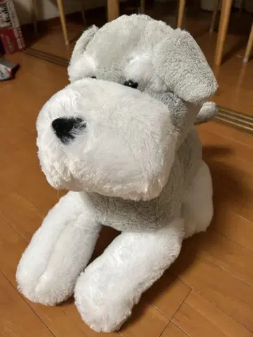 슈나와 밥 봉제 인형