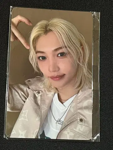 Stray Kids 특전 트레이딩 카드 Felix