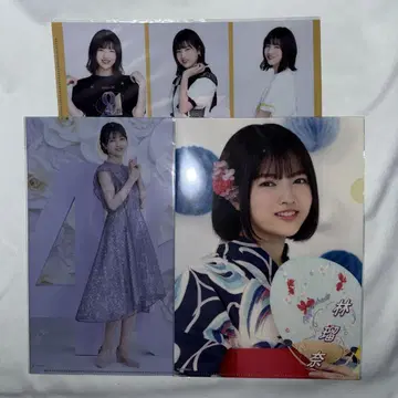 노기자카46 하야시 루나 클리어 파일 3종 세트