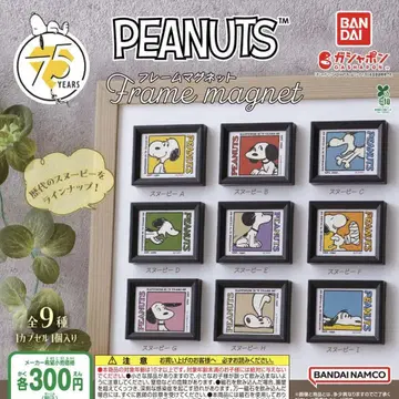 PEANUTS 프레임 마그넷 전 9종 세트