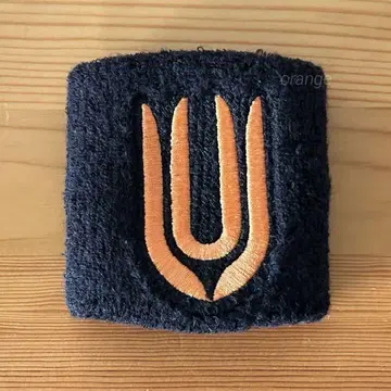 UNISON SQUARE GARDEN 패트릭 베지 리스트 밴드