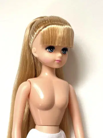 리카짱 캐슬 팔레트 F /오타노시미 인형/포니테일