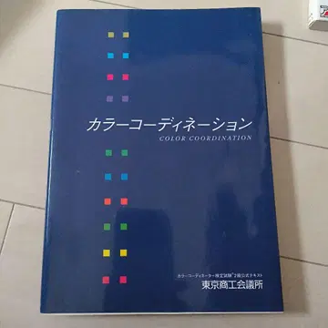 컬러 코디네이션