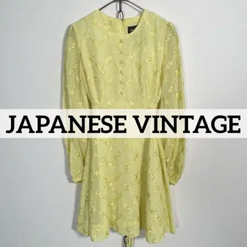 70s80s 빈티지 자수 시스루 원피스 도트 도트 무늬 쇼와 레트로