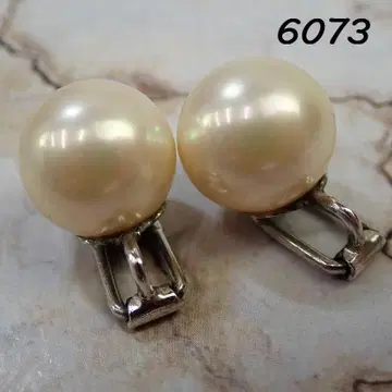 RU-6073 마조리카 귀찌 20250717-