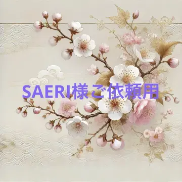 사에리님 의뢰용