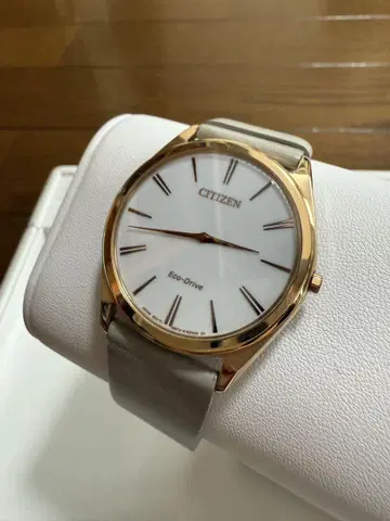 CITIZEN Eco-Drive 손목시계 화이트/골드