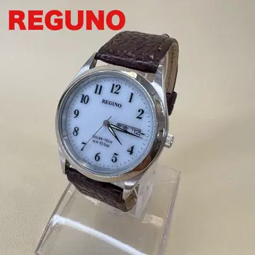 REGUNO 솔라 시계 E101-S028221 레그노
